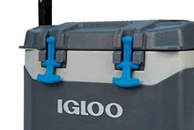 Load image into Gallery viewer, Igloo BMX 25 Quart Cooler with Cool Riser Technology, Fish Ruler, and Tie-Down Points - 11.29 Pounds - Carbonite Gray and Blue