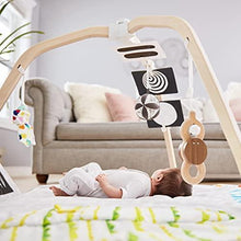 Load image into Gallery viewer, The Play Gym by Lovevery | Stage-Based Developmental Activity Gym & Play Mat for Baby to Toddler
