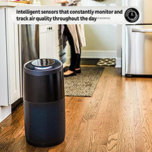 Load image into Gallery viewer, Instant Air Purifier, Large, Living Room Size, Charcoal