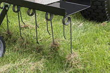 Load image into Gallery viewer, Agri-Fab 45-0295 48-Inch Tine Tow Dethatcher,Black,Medium