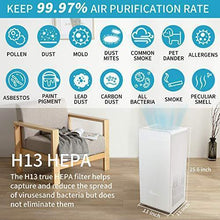 Load image into Gallery viewer, Hestom Air Purifier for Home Large Room, H13 True HEPA Air Cleaner,1200 Sq Ft Coverage, Perfect for Pets, Low Noise, Auto Mode, 3 Fans Setting, Negative Ion, White