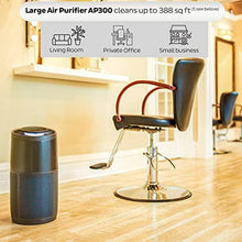 Load image into Gallery viewer, Instant Air Purifier, Large, Living Room Size, Charcoal