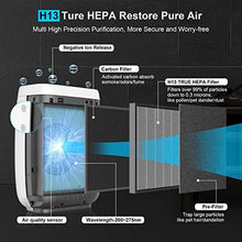 Load image into Gallery viewer, Air Purifier, Zigma Smart WiFi Air Purifier for Large Room up to 1580 ft2, Available for California, True HEPA 5-in-1 Air Purifiers w/Voice Control for Dust, Pollen, Smoke, Air Cleaner Aerio-300