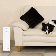 Load image into Gallery viewer, Germ Guardian True HEPA Filter Air Purifier, UV Light Sanitizer, Eliminates Germs, Filters Allergies, Pets, Pollen, Smoke, Dust, Mold, Odors, Quiet 22 inch 5-in-1 Air Purifier for Home AC4300WPT, 2PK
