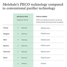 Load image into Gallery viewer, Molekule Air Mini Small Room Air Purifier with PECO Technology for Allergens, Pollutants, Viruses, Bacteria, and Mold, White
