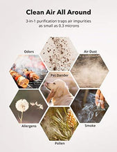 Load image into Gallery viewer, TaoTronics HEPA Air Purifier for Home, Allergens Smoke Pollen Pets Hair, Desktop Air Cleaner with True HEPA Filter, Sleep Mode, Night Light, Odors Dust, Bedroom Office
