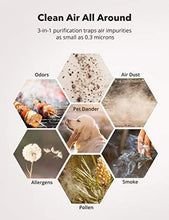 Load image into Gallery viewer, TaoTronics HEPA Air Purifier for Home, Allergens Smoke Pollen Pets Hair, Desktop Air Cleaner with True HEPA Filter, Sleep Mode, Night Light, Odors Dust, Bedroom Office
