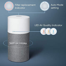 Load image into Gallery viewer, Blueair Blue Pure 311 Auto Medium Room Air Purifier with Auto Mode for Allergies, Pollen, Dust Smoke, Pet Dander, Viruses And Bacteria with HEPASilent Technology and Washable Pre-Filter
