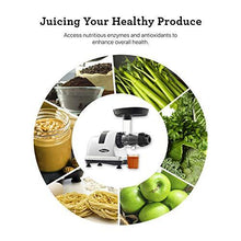 Load image into Gallery viewer, Omega J8006HDS Quiet Dual-Stage Slow Speed Masticating Juicer Makes Fruit and Vegetable 80 Revolutions per Minute High Juice Output, 200-Watt, Silver
