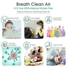 Load image into Gallery viewer, Gocheer Air Purifier for Large Room CADR 1,000 Covers 2,500 Sq ft Dual Drive 4-in-1 H13 True HEPA Filters Smart Air Cleaner for Home Eliminate Smoke Dust Pollen Mold Pet Dander Allergens Gases

