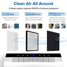 Load image into Gallery viewer, LEVOIT Smart Wifi Air Purifier for Home, Extra-Large Room with H13 True HEPA Filter &amp; Air Purifier LV-PUR131 Replacement Filter True HEPA &amp; Activated Carbon Filters Set, LV-PUR131-RF (2 Pack)
