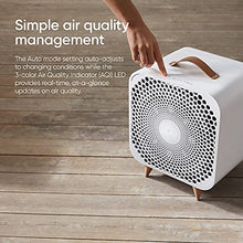 Load image into Gallery viewer, Blueair Pure Fan Auto, 3-Speed + Auto Mode, HEPASilent Purifying Room Fan, Cools + Cleans, Removes Allergens, Dust, Pollen &amp; More, for Floor, Table, Desk &amp; Bedroom
