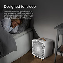 Load image into Gallery viewer, Blueair Pure Fan Auto, 3-Speed + Auto Mode, HEPASilent Purifying Room Fan, Cools + Cleans, Removes Allergens, Dust, Pollen &amp; More, for Floor, Table, Desk &amp; Bedroom
