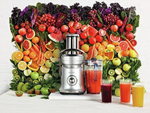 Load image into Gallery viewer, Breville BJE830BSS Juice Founatin Cold XL Centrifugal Juicer, Brushed Stainless Steel

