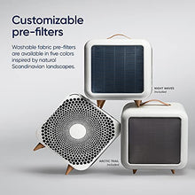 Load image into Gallery viewer, Blueair Pure Fan Auto, 3-Speed + Auto Mode, HEPASilent Purifying Room Fan, Cools + Cleans, Removes Allergens, Dust, Pollen &amp; More, for Floor, Table, Desk &amp; Bedroom
