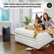 Load image into Gallery viewer, Instant Air Purifier, Large, Living Room Size, Charcoal
