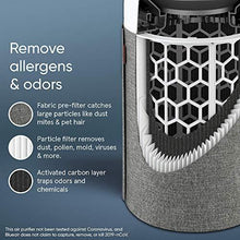 Load image into Gallery viewer, Blueair Blue Pure 311 Auto Medium Room Air Purifier with Auto Mode for Allergies, Pollen, Dust Smoke, Pet Dander, Viruses And Bacteria with HEPASilent Technology and Washable Pre-Filter
